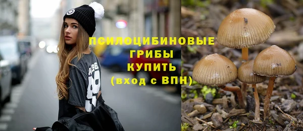 гидра Абинск
