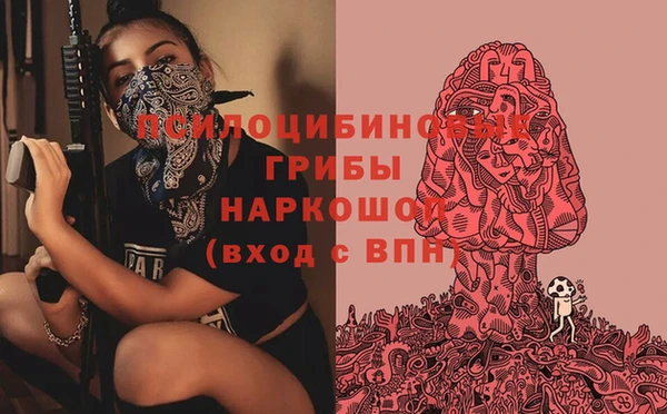 гидра Абинск